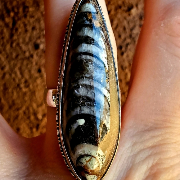 New Unique Orthoceras Fossil 925 Silver Statement Ring. - Picture 10 of 10